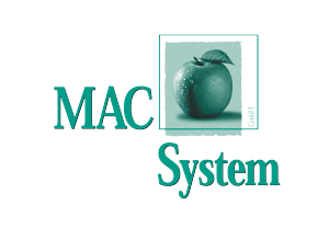 (c) Macsystem.de